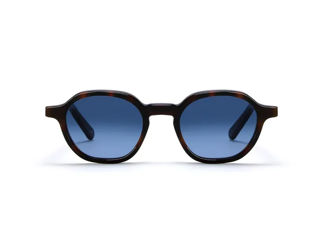 l-g-r-algiers-sonnenbrille-havana-maculato-blue-hd-gradient image 1