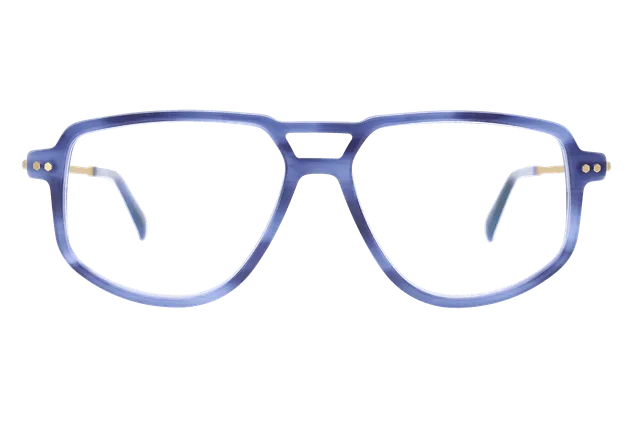 coblens-eyewear-parzelle-brille-56-15-145 image 1