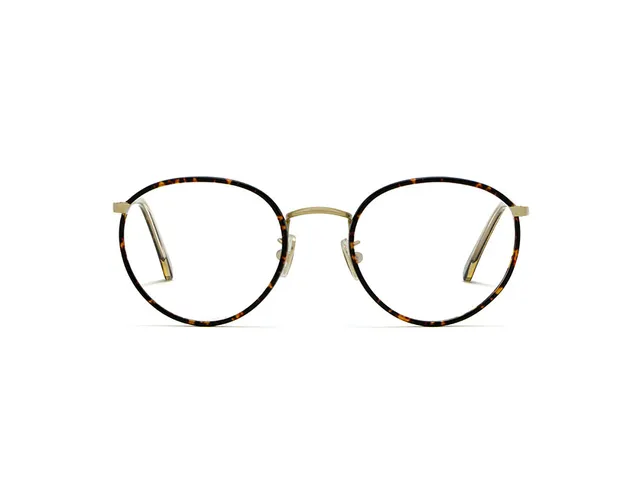l-g-r-cairo-sonnenbrille-havana-scuro-gold-09 image 1