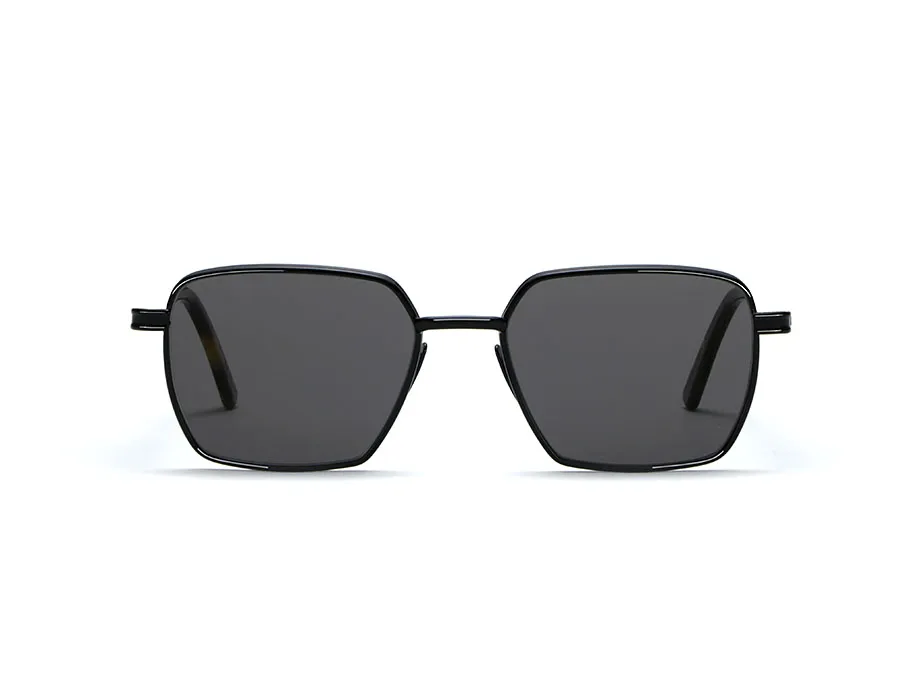 l-g-r-afar-lions-of-ethiopia-sonnenbrille-black-havana-tartarugato-23-grey image 1
