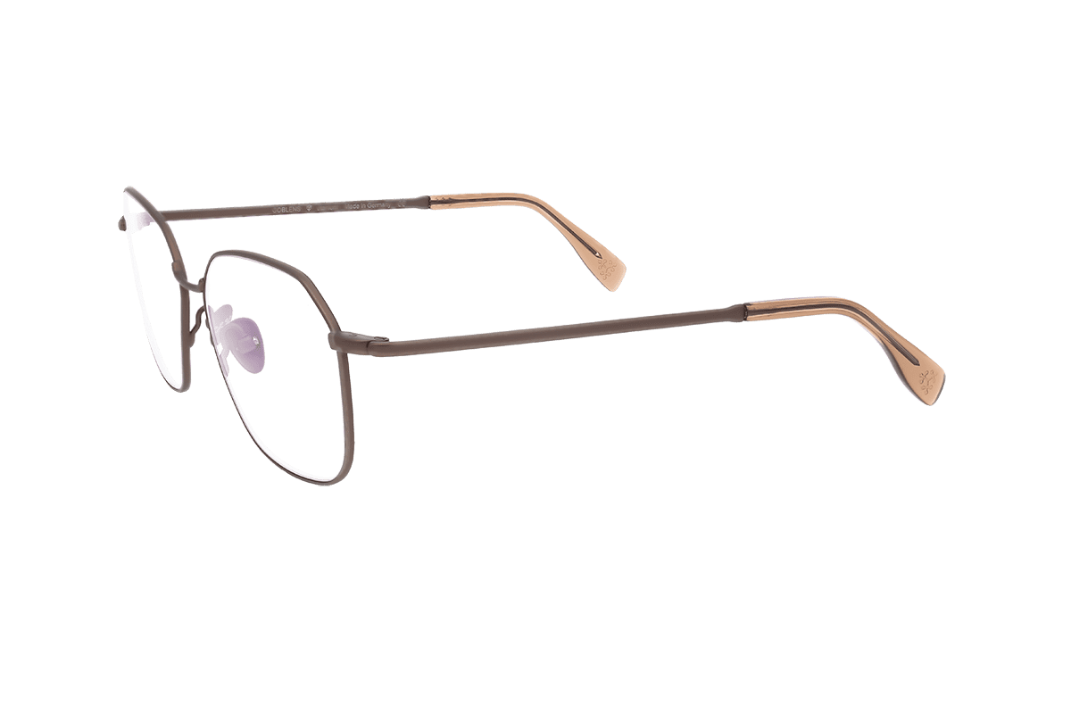 coblens-eyewear-reisebus-brille-52-13-140-2 image 2