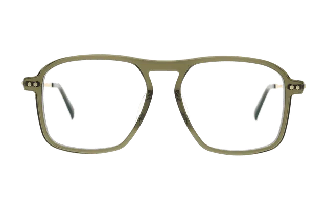 coblens-eyewear-gartentor-brillenfassung-55-16-145-3 image 1