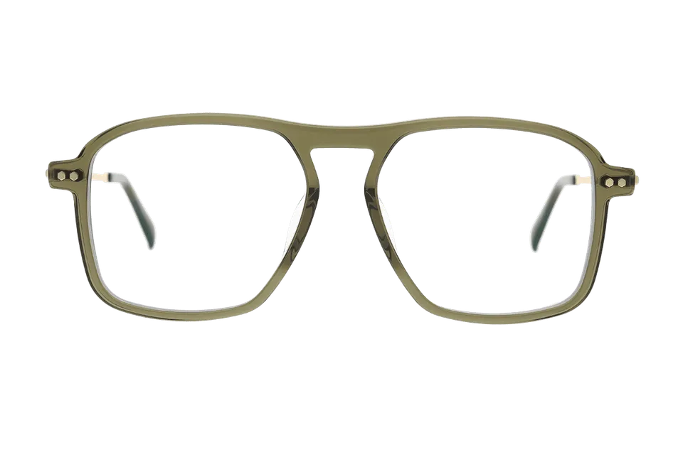 coblens-eyewear-gartentor-brillenfassung-55-16-145-3 image 1