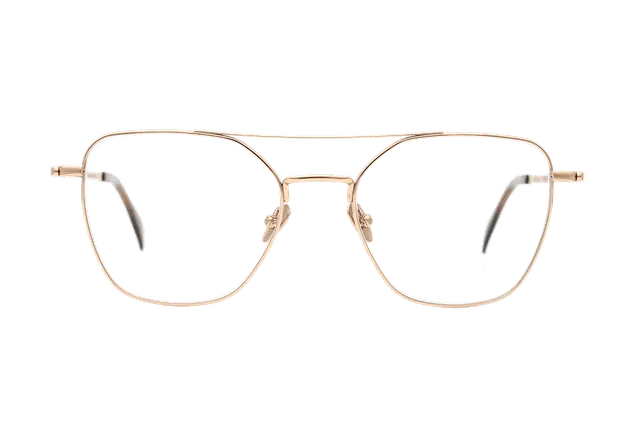 coblens-eyewear-kurvenlicht-brille-51-18-140 image 1