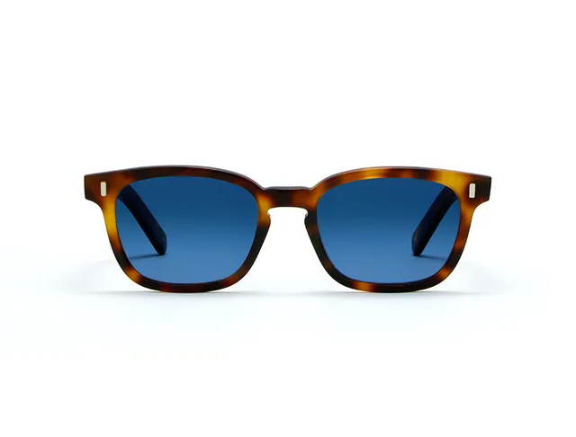 l-g-r-malabo-bold-sonnenbrille-havana-maculato-39-blue-hd image 1