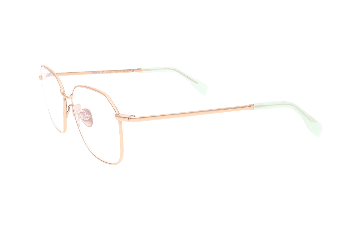 coblens-eyewear-gmbh-reisebus-brille-52-13-140 image 2