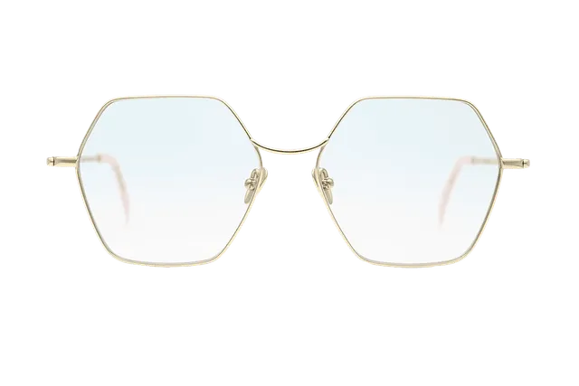 coblens-eyewear-kennzeichen-brille-54-16-140-2 image 1