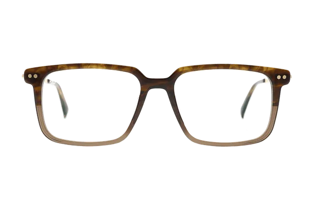 coblens-eyewear-seilbahn-brille-55-17-145 image 1