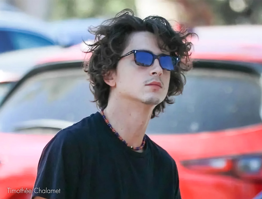 l-g-r-suez-sonnenbrille-havana-maculato-39-blue-hd image 5