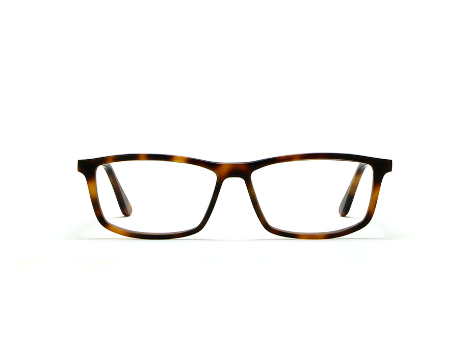 l-g-r-elgon-sonnenbrille-havana-maculato-matt-39 image 1