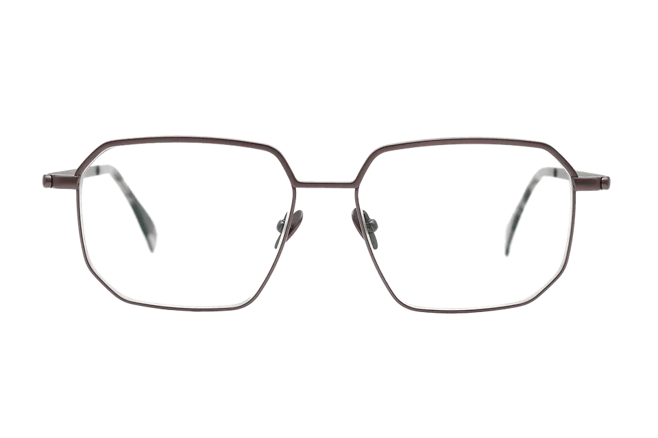 coblens-eyewear-auftrieb-brille-55-16-145 image 1