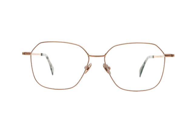 coblens-eyewear-reisebus-brillenfassung-52-13-140 image 1