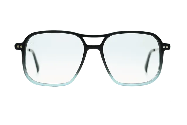 coblens-eyewear-zierpflanze-brillenfassung-54-16-145 image 1