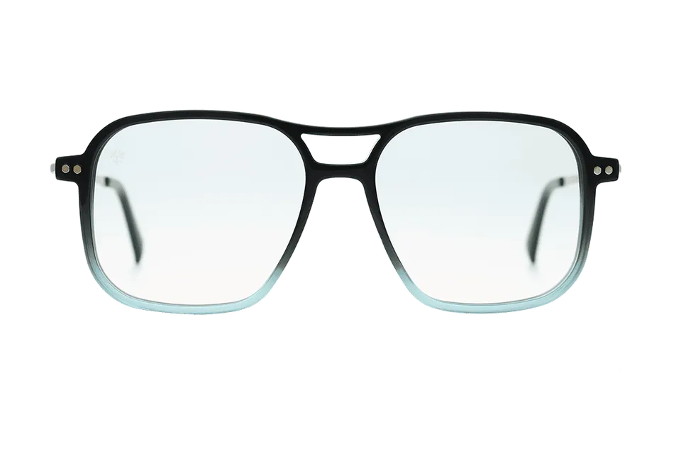 coblens-eyewear-zierpflanze-brillenfassung-54-16-145 image 1