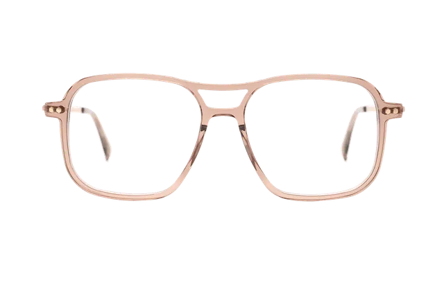 coblens-eyewear-zierpflanze-brille-54-16-145-3 image 1