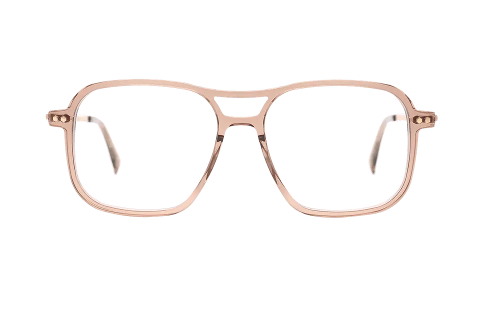 coblens-eyewear-zierpflanze-brille-54-16-145-3 image 1