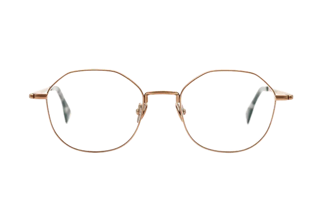 coblens-eyewear-schiebedach-brille-49-17-140 image 1