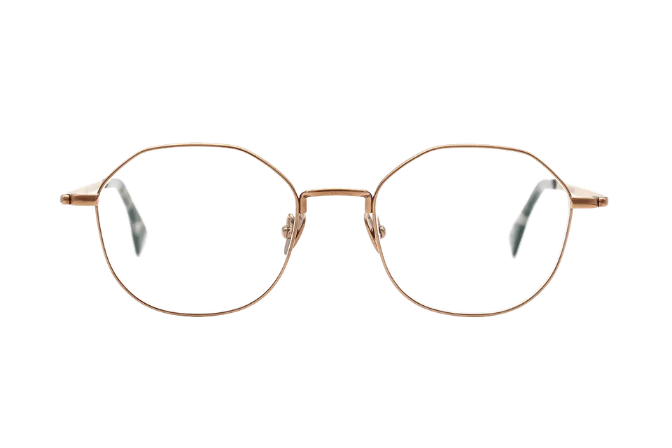 coblens-eyewear-schiebedach-brille-49-17-140 image 1