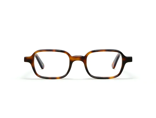 l-g-r-marrakech-sonnenbrille-havana-maculato-39-emily-in-paris-edition image 1