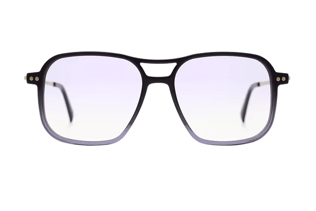 coblens-eyewear-zierpflanze-brille-54-16-145 image 1
