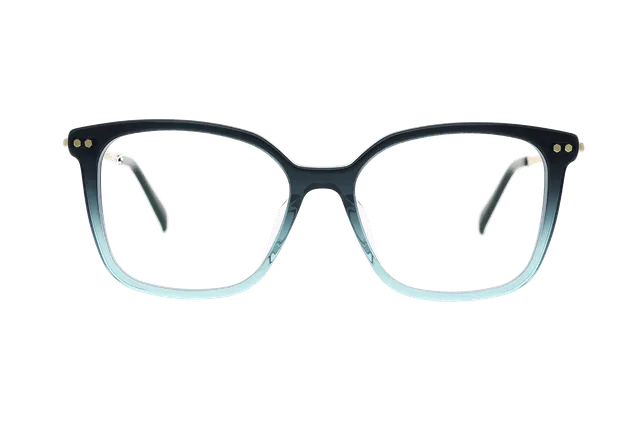 coblens-eyewear-schwanenteich-brille-52-15-140 image 1