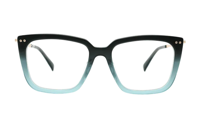 coblens-eyewear-gmbh-hauptallee-brillengestell-52-17-140 image 1