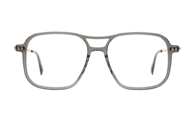 coblens-eyewear-zierpflanze-brille-54-16-145-2 image 1