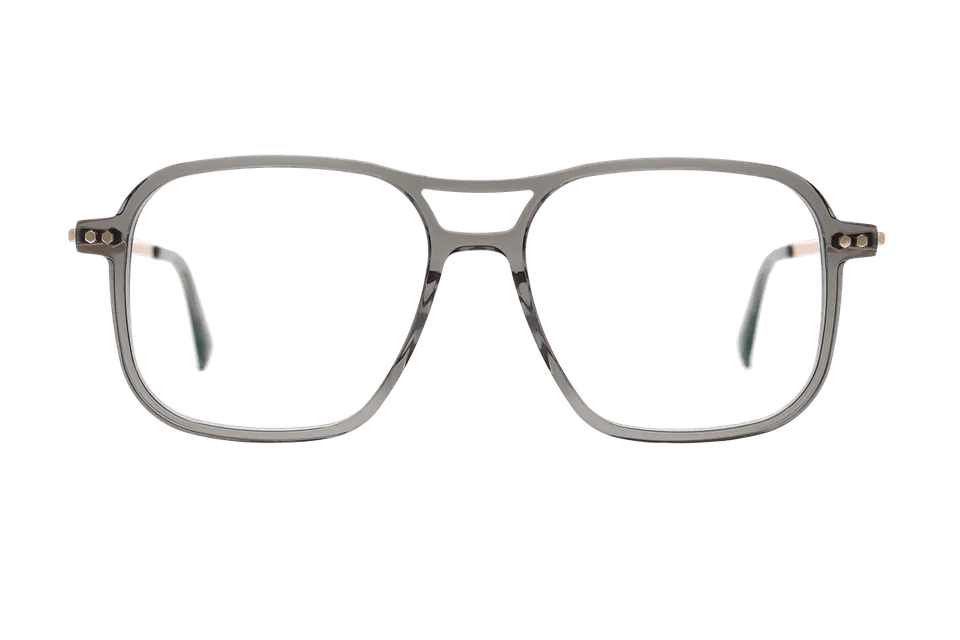 coblens-eyewear-zierpflanze-brille-54-16-145-2 image 1