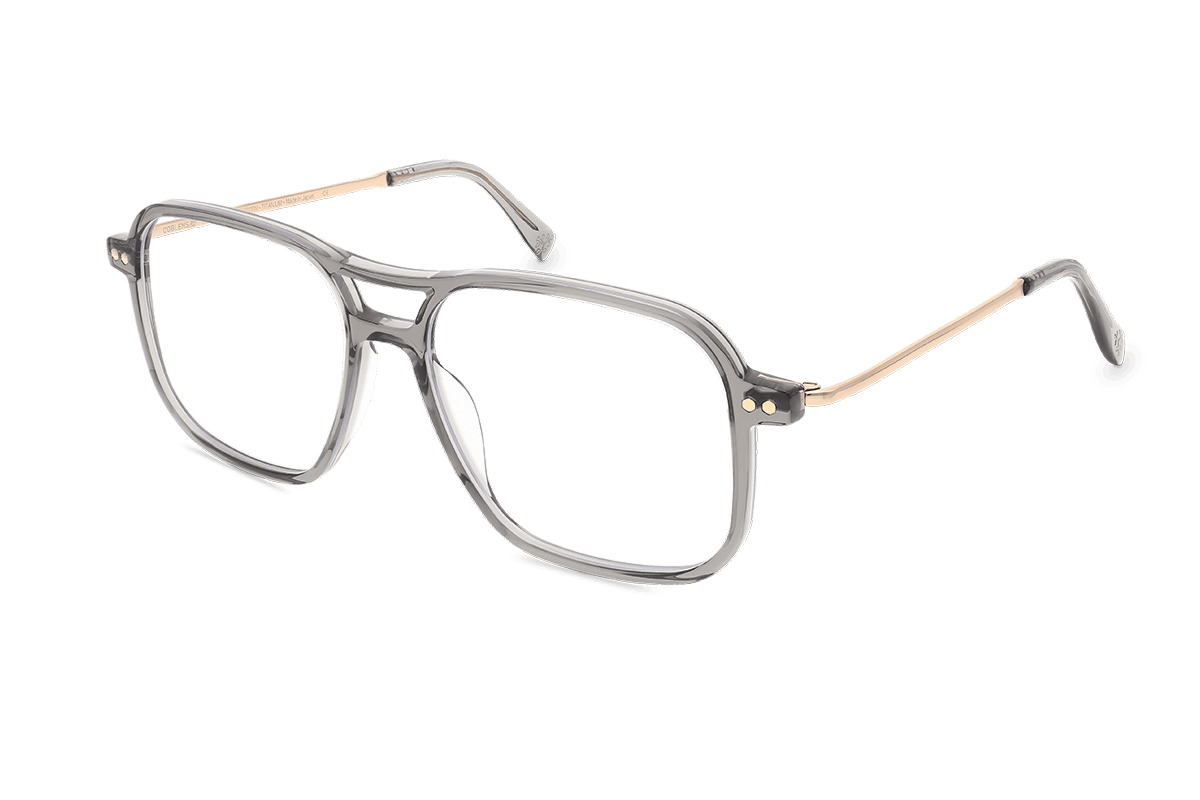 coblens-eyewear-zierpflanze-brille-54-16-145-2 image 2