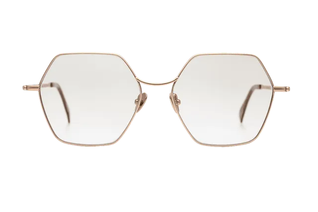 coblens-eyewear-kennzeichen-brille-54-16-140-3 image 1