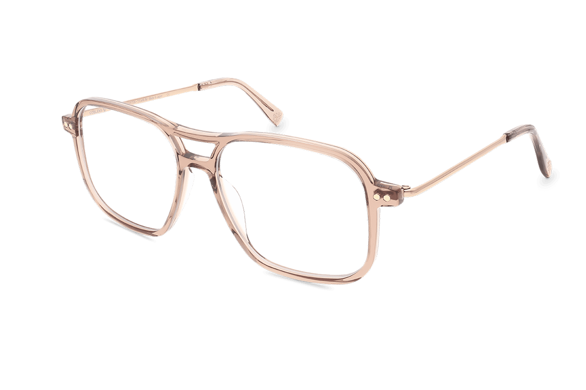 coblens-eyewear-zierpflanze-brille-54-16-145-3 image 2