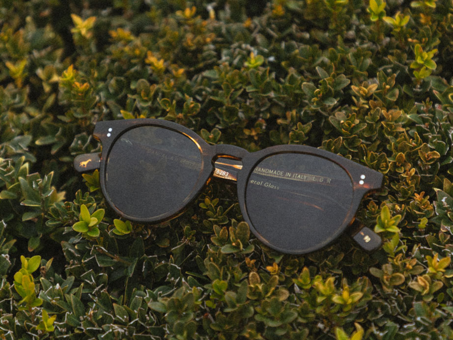 l-g-r-dancalia-ii-sonnenbrille-havana-tobacco-90-green-g15 image 5